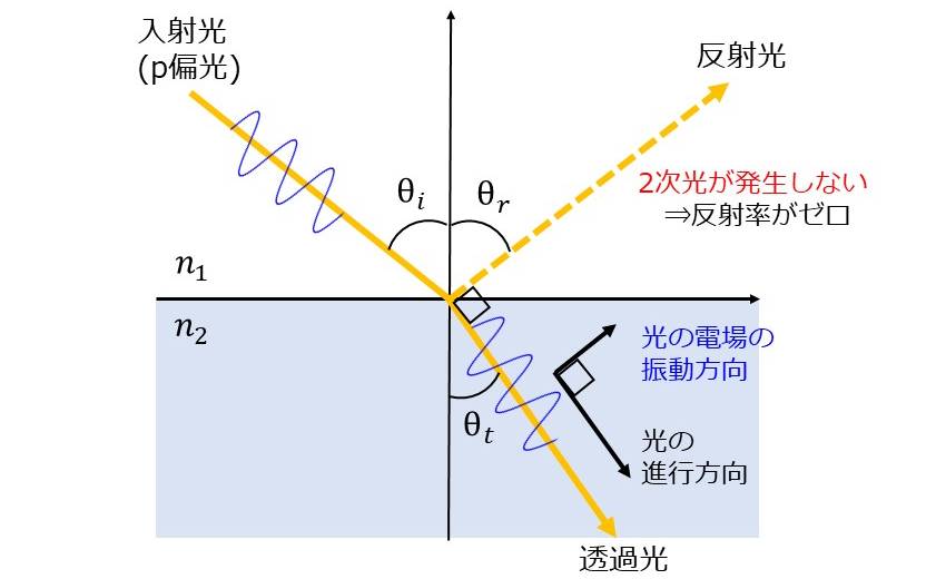 光の電場の振動方向と電子の振動方向の関係